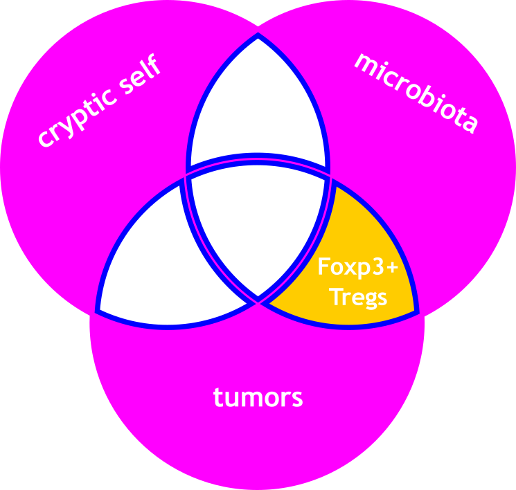 tumors